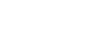 Wordmark, white